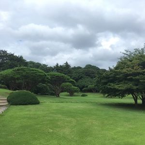 Meet your Posher, Kiana